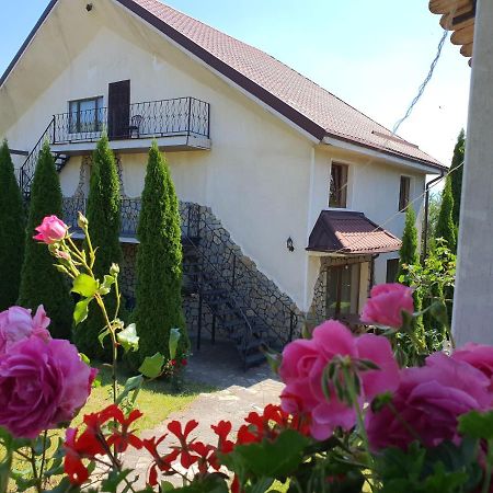 Casa Carpati Apartamento Zărneşti Exterior foto