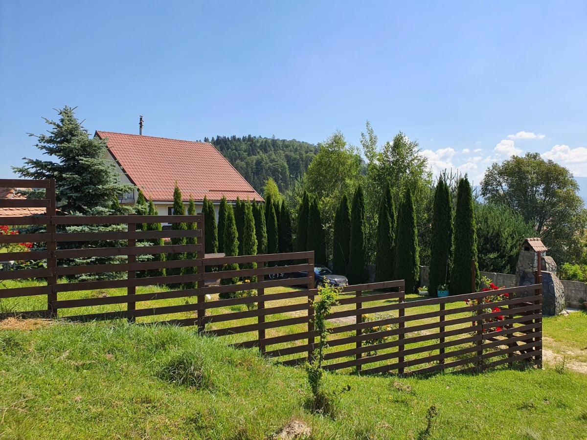 Casa Carpati Apartamento Zărneşti Exterior foto